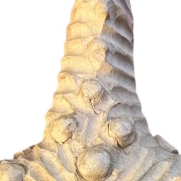 Handcarved Wooden Starfish Large Carved Solid Wood Art Decor 2 lbs Beach 11" - Picture 6 of 8